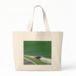 House Fly On A Banana Leaf Bags