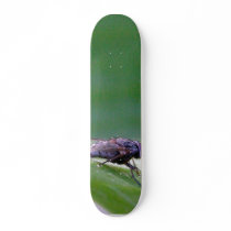 House Fly On A Banana Leaf Skate Decks
