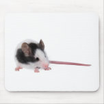 House mouse mousepads