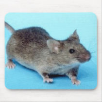 House mouse mousepads