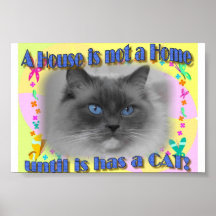 House not Home Posters
