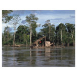 House on upper Amazon River, Peru flyers