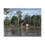 House on upper Amazon River, Peru Post Cards
