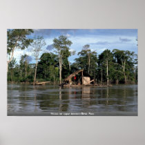 House on upper Amazon River, Peru Print