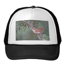 House Wren Mesh Hat