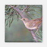 House Wren Refrigerator Magnet