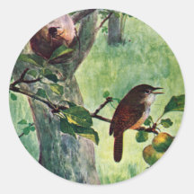 House Wrens Nesting in an Apple Tree Stickers