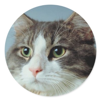 Housecat Stickers by White_Wedding