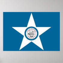 Houston Flag Posters