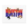 Houston Pics Post Card