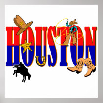 Houston Pics Print