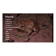 Houston Toad Business Card