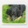 Hovawart 9W009D-064 Mouse Pad