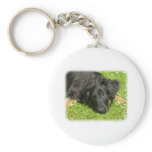 Hovawart 9W009D-123 keychains