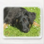 Hovawart 9W009D-123 Mouse Pad