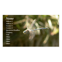 Hoverer Business Card Template