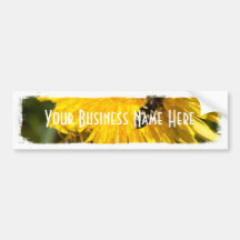Hoverflies on Dandelions; Promotional Bumper Sticker