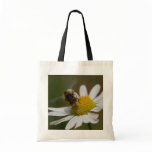Hoverfly on Pollen Bag