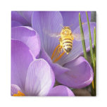 Hovering Bee ~ magnet