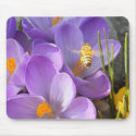 Hovering Bee ~ mousepad