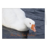 How Are You Feeling? cards