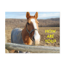 HOW ARE YOU? - postcard