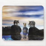 how did he get there, fred? mousepads