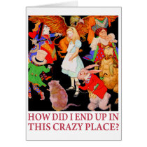 HOW DID I END UP IN THIS CRAZY PLACE