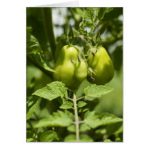 How Does Your Garden Grow Card