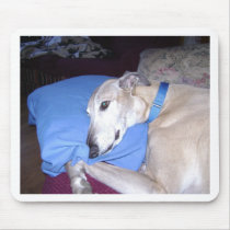 How Every Greyhound should Live Mouse Mats