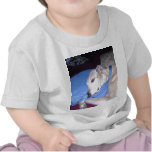 How Every Greyhound should Live T Shirts
