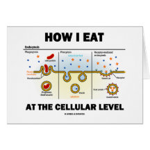 How I Eat At The Cellular Level (Endocytosis) Card