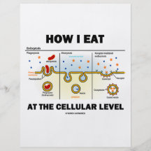How I Eat At The Cellular Level (Endocytosis) Flyer Design