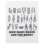How Many Knots Can You Knot? Full Color Flyer