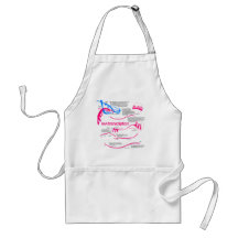 How mRNA is Created in a Nucleus Diagram Apron