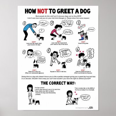 How Not To Greet A Dog (11