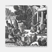 How the Natives of New Spain Magnets