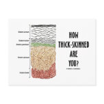 How Thick-Skinned Are You? (Epidermis Skin Layers) postcards
