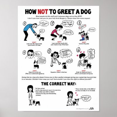How To Greet A Dog poster (11 x 14