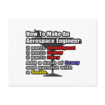 How To Make an Aerospace Engineer