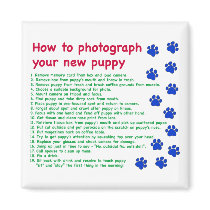 How to photograph your new puppy refrigerator magnet