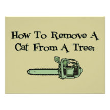 How to remove a cat from a tree personalized announcements