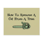 How to remove a cat from a tree