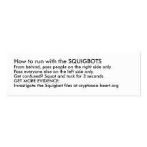 How to run with the SQUIGBOTS Business Card