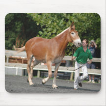 howard county fair mousepad