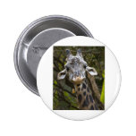 Howdy Neighbour Button