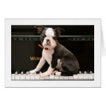 Howie on the Piano Greeting Cards