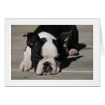 Howie Pouts Card