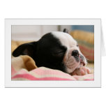 Howie Sleeping Card