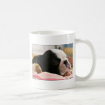 Howie takes a nap Mug
